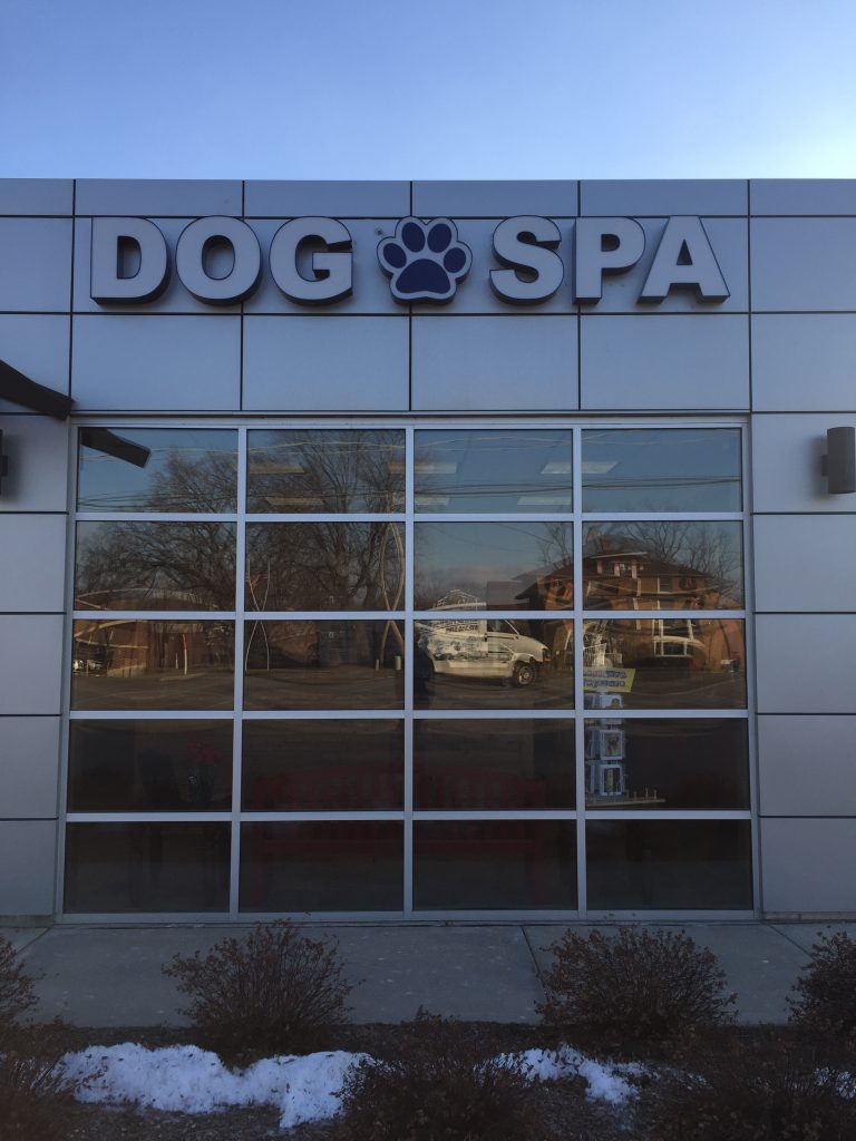 Dog Spa Channel Letters - Libertyville