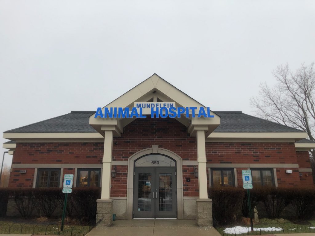 Animal Hospital Channel Letters - Mundelein